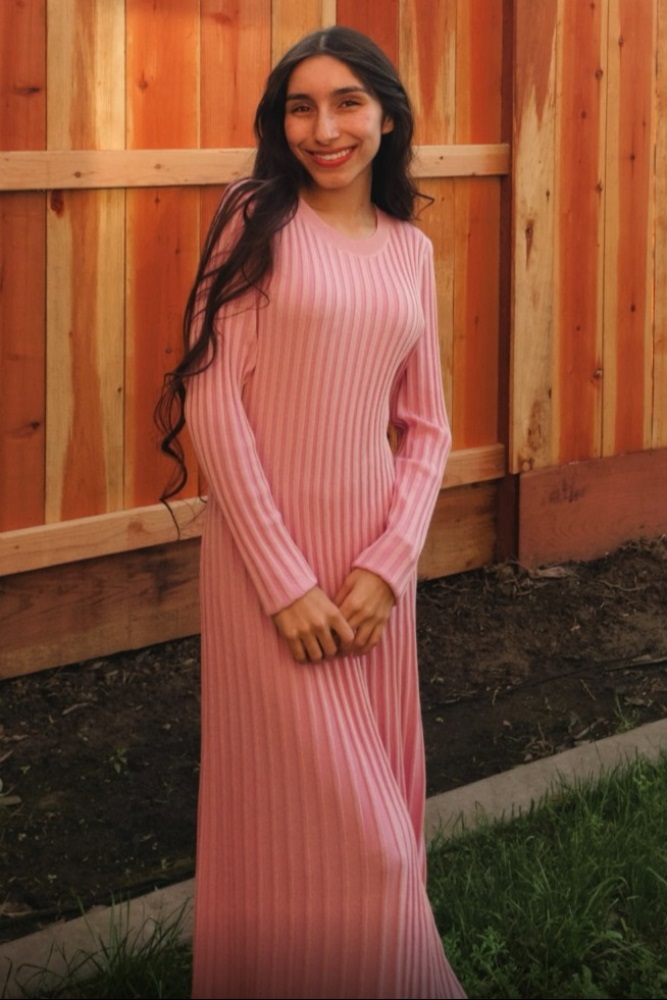Pink Thick Ribbed Knit Maxi Sweater Dress – PinkBlush